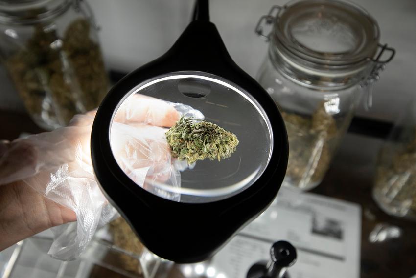 The Custom Botanical Dispensary in Austin on Jan. 16, 2019.